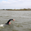 Andijk-Medemblik-Andijk openwaterswimming.club website