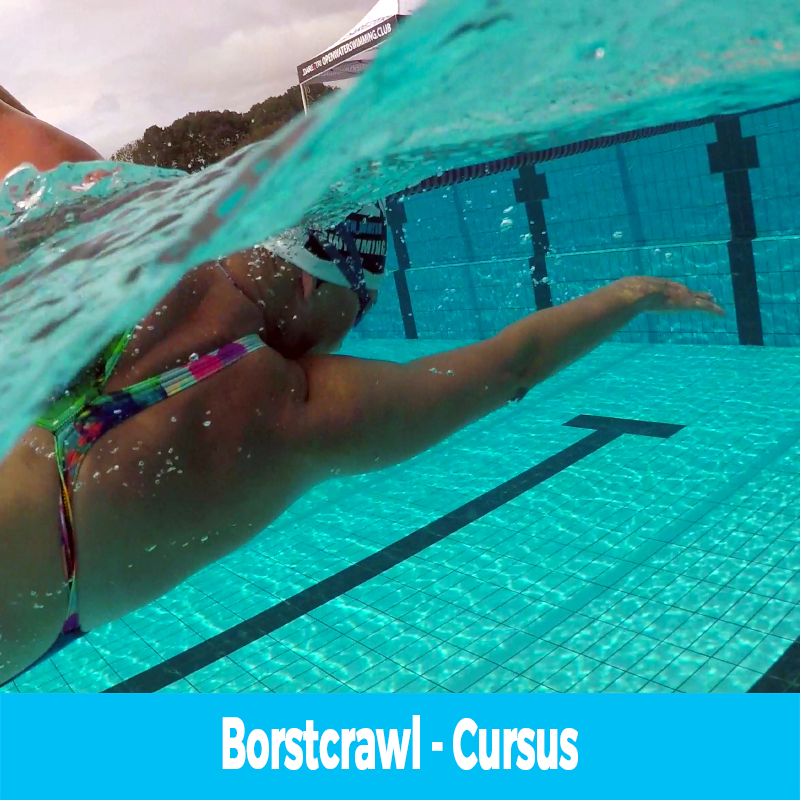 Borstcrawl-Cursus-openwaterswimming.club-1