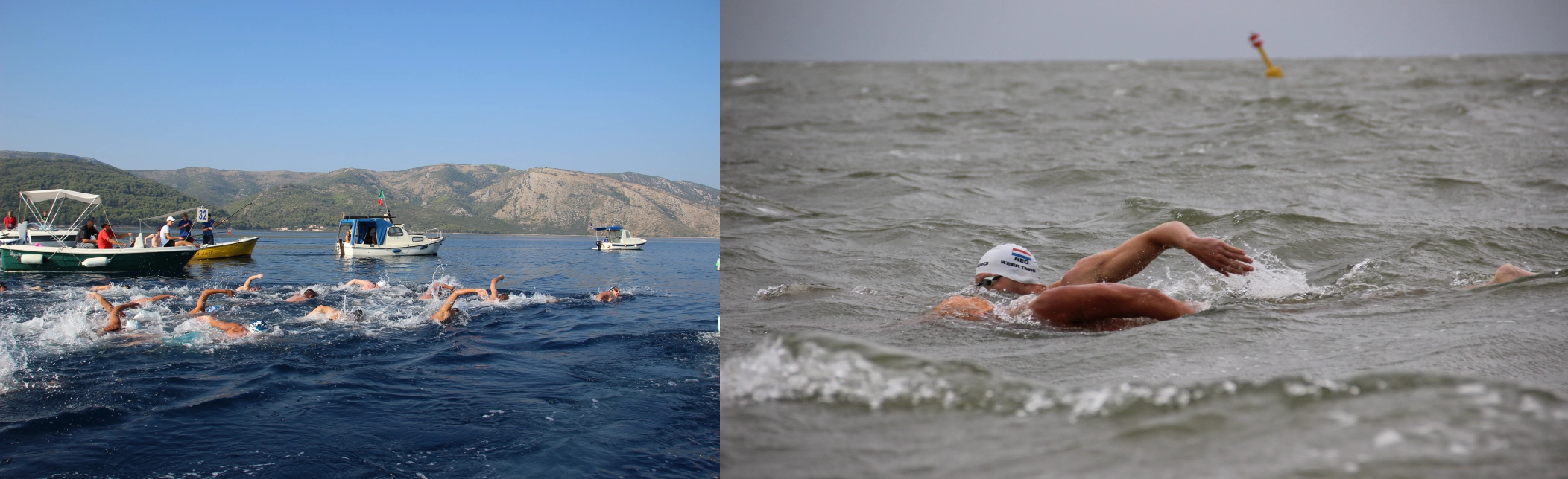 open water zwemmen-openwaterswimming.club