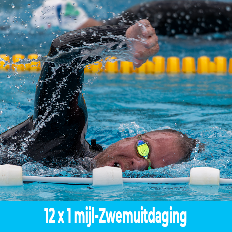 Ga de 12 × 1 mijl zwemuitdaging aan in zwembad De Waterdam met Open Water Swimming Club.
